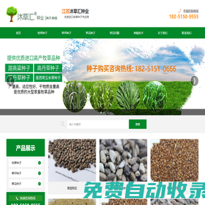「牧草種子公司」批發(fā)種子 養(yǎng)殖牛羊畜牧專用品種草籽-沐草匯園林網(wǎng)-沭陽縣三點(diǎn)水商貿(mào)有限公司