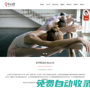 長沙琴石文化科技有限公司-長沙琴石文化科技有限公司