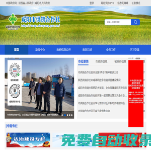 市供銷合作社