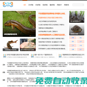 淡水養(yǎng)殖|魚類養(yǎng)殖|泥鰍養(yǎng)殖|蟹類養(yǎng)殖|養(yǎng)殖技術(shù)-水產(chǎn)養(yǎng)殖網(wǎng)