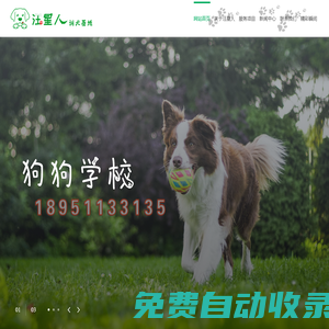 蘇州汪星人訓犬基地|蘇州訓犬|蘇州寄養犬|蘇州訓狗|蘇州寄養狗|蘇州寵物寄養|蘇州寵物訓練||蘇州寵物寄養