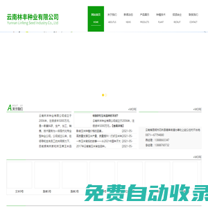 云南林豐種業有限公司