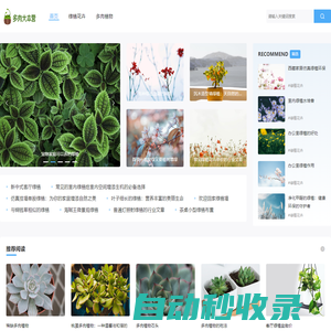 多肉大本營_多肉植物_多肉植物第一全媒體_中國領(lǐng)先的多肉植物論壇