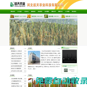 河北巡天農業科技有限公司|巡天農業|谷子|種子|雜交谷子|種子銷售|巡天農業|雜交玉米|雜交谷子|種子銷售