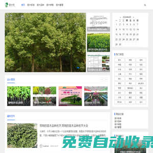 電子錢包專家 - 安全便捷的電子錢包解決方案
