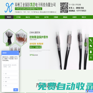 凱恩電子-蘇州工業(yè)園區(qū)凱恩電子科技有限公司