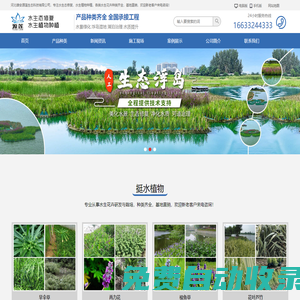 濕地水景綠化_人工生態浮島_水生植物培育基地-河北雄安源蓮生態