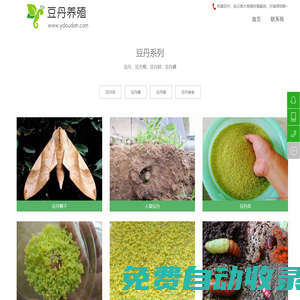 豆丹|豆丹養殖「十年經驗」-連云港灌云林建豆丹養殖基地