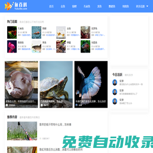 魚百科 - 您身邊的養魚專家