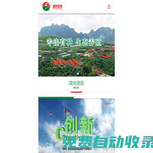 廣西鴻光農牧有限公司_黃羽雞