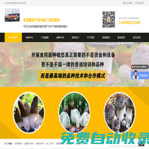 免費食用菌技術培訓-華中食用菌技術 蘑菇技術訓班 首選歲歲豐農業,為從業者提供最優種植方案！