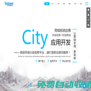 覺視網絡科技|樂山網站建設|同城信息系統|微信小程序|APP開發