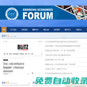 新興經濟體論壇