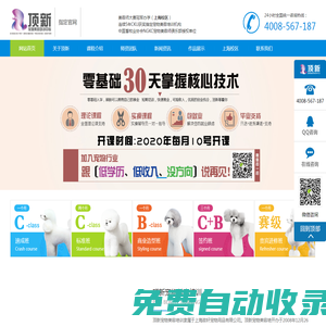 上海|成都寵物美容培訓(xùn)學(xué)校_學(xué)習(xí)寵物美容多少錢|費(fèi)用-頂新寵物美容培訓(xùn)