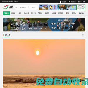 鳥網首頁