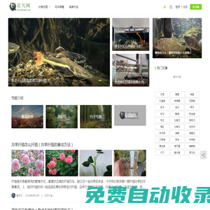 花鳥網(wǎng)-花鳥魚蟲愛好者的聚集地