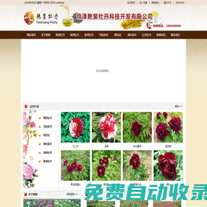 牡丹籽油，牡丹蕊茶，牡丹，芍藥，鮮切花，綠化苗木科研基地―菏澤艷裝牡丹科技開發(fā)有限公司