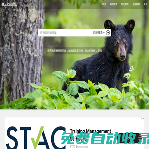 易云必應壁紙 每日歷史壁紙查看