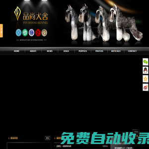 蘇州品尚犬舍 - 專業繁殖迷你雪納瑞 - 品尚犬舍