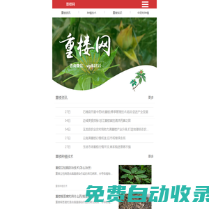 重樓的功效與作用-重樓種植技術(shù)-重樓網(wǎng)