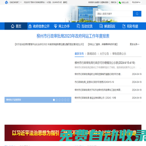 廣西柳州市行政審批局網站
