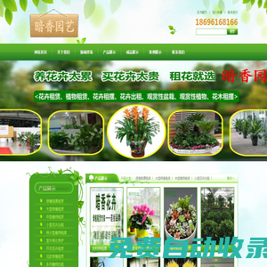 武漢綠植租賃|武漢花卉租擺|武漢綠植物出租|辦公室花卉租賃|出租綠植-武漢暗香園藝有限公司