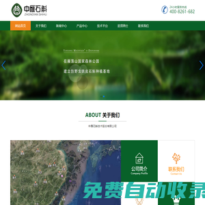 中雁石斛技術股份有限公司_鐵皮石斛