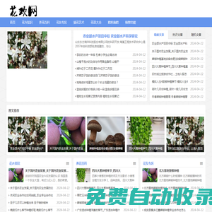 花歡網