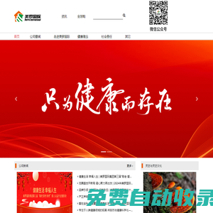 美羅國際