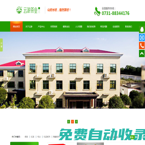 長沙云游茶業有限公司_湖南綠茶|紅茶價格|長沙毛尖批發