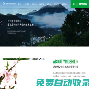 湖北櫻之林生態農業有限公司-櫻之林苗木基地-櫻花種苗-櫻花-紅楓