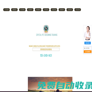 晶點寵物美容培訓學校 - 沈陽寵物美容師培訓學校