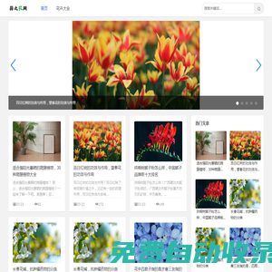 蒜之花網(wǎng)-探索豐富多彩的花卉世界