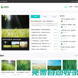 增潤黑麥草_黑麥草種子_黑麥草種植_增潤草_贈送黑麥草種植技術_湖南增潤農業有限公司