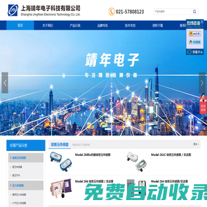 上海靖年電子科技有限公司