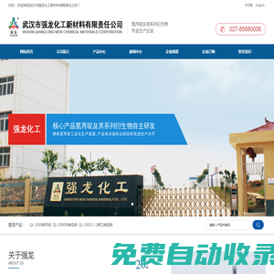 武漢市強龍化工新材料有限責任公司--武漢強龍|強龍化工|武漢市強龍化工