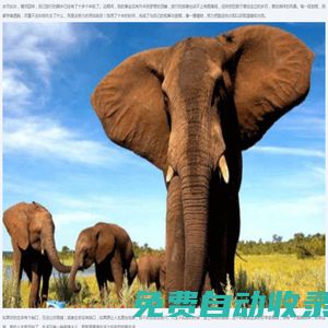 8k8k手游網-專注重度手游下載門戶資源網站