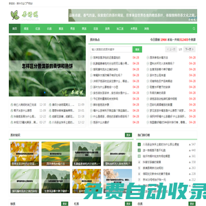 最新免費電影-熱門海量電影資源在線觀看-櫻花影院