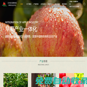 52skins開箱網-出金高的CSGO開箱網