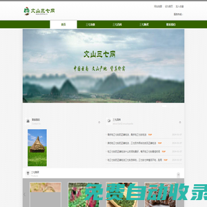 文山三七網_專營_三七_三七粉_云南產地，貨真價實