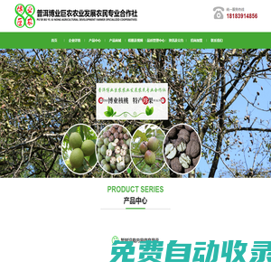 普洱博業(yè)巨農(nóng)農(nóng)業(yè)發(fā)展農(nóng)民專業(yè)合作社 官網(wǎng)_農(nóng)業(yè)_紙皮核桃_核桃苗_櫻桃樹(shù)_櫻桃_晚熟芒果_晚熟芒果苗_梨樹(shù)_桃樹(shù)_李子樹(shù)_櫻桃李樹(shù)
