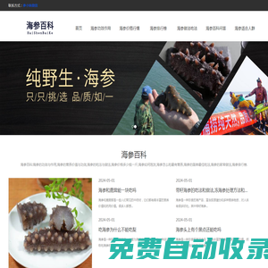 海參的功效與作用-海參百科