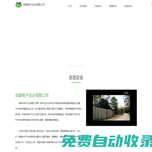 土雞蛋-綠殼蛋-烏雞蛋批發-成都市楊子農業有限公司