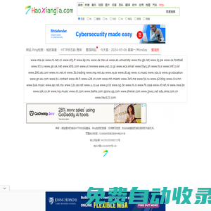 域名盲盒_網站HTTP狀態碼_Ping檢測_好想她