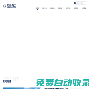 重慶宏揚電力器材有限責任公司