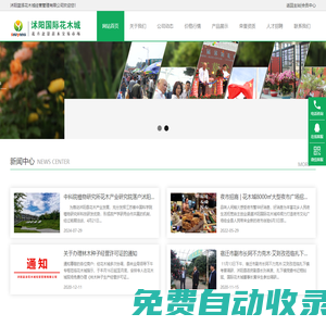 沭陽國際花木城_專業綠化苗木花卉盆景批發市場【官網】