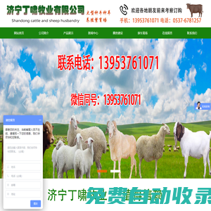 濟寧丁嘯牧業有限公司-黃牛 小尾寒羊 肉牛羊調撥 肉牛 肉羊 種兔 獺兔 肉兔  西門塔爾  夏洛萊牛 利木贊牛 波爾山羊