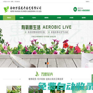 合肥花卉租賃公司 - 合肥萬家花卉園藝有限公司