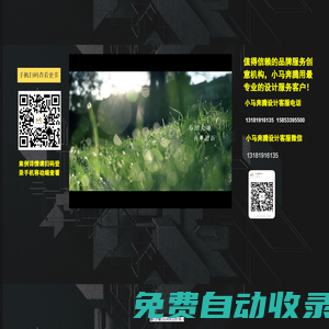 小馬奔騰設計歡迎您！