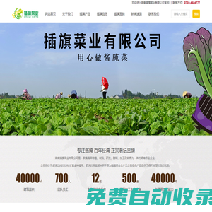 湖南插旗菜業(yè)有限公司-插旗菜業(yè)-芝麻芥菜